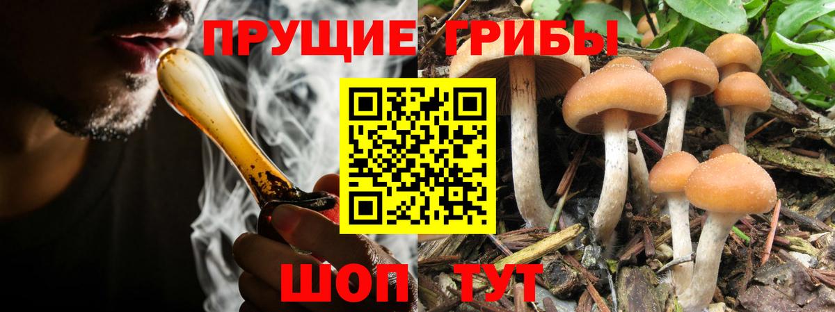 Большой Камень  Псилоцибиновые грибы ЛСД  Вход с VPN 